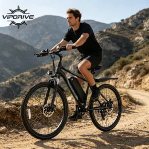 VIPDRIVE Defier 1.1 Adult Electric Bike