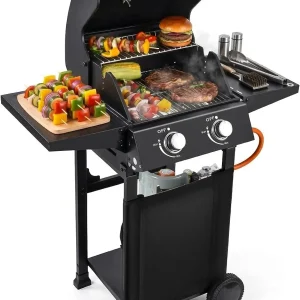2 Burner Propane Gas Grill 16000 BTU Stainless Steel